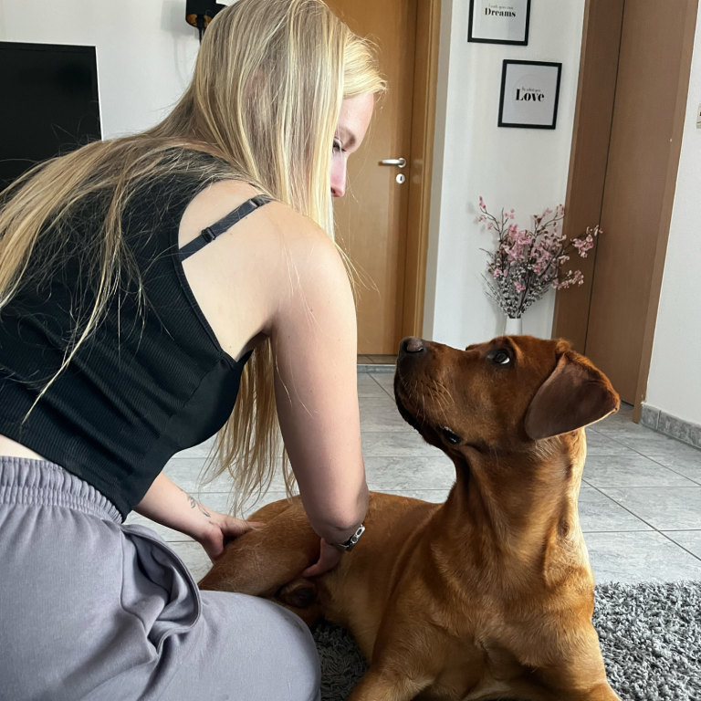 Dogmotion Logo - Tierphysiotherapie Tierphysiotherapie Nadine Grambole